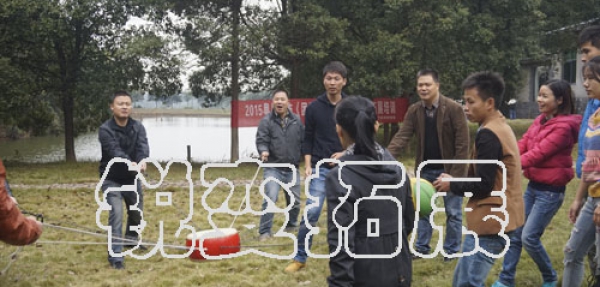 展示图片5