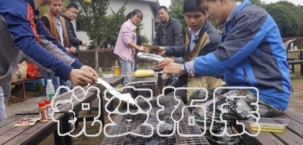 展示图片8